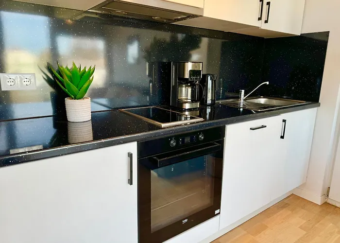 Modern With Balcony Near Scs Apartament Wiener Neudorf